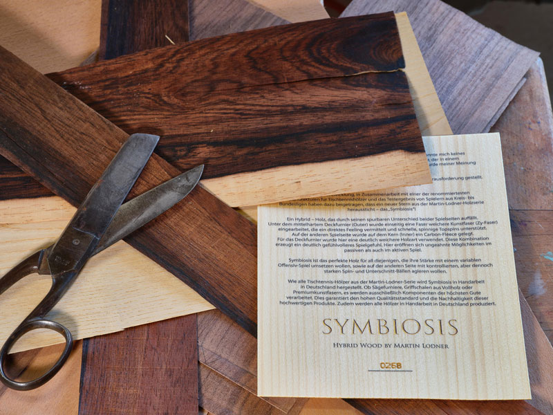Hybrid Holz Symbiosis OFF by Martin Lodner