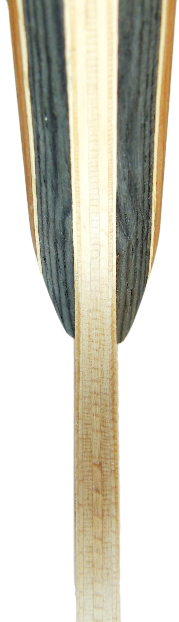 Nittaku Septear