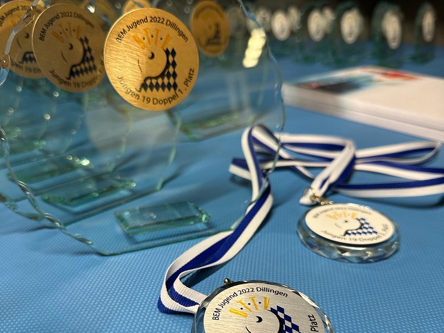Halsband  für Medaille 11 mm blau-weiß mit Karabinerhaken