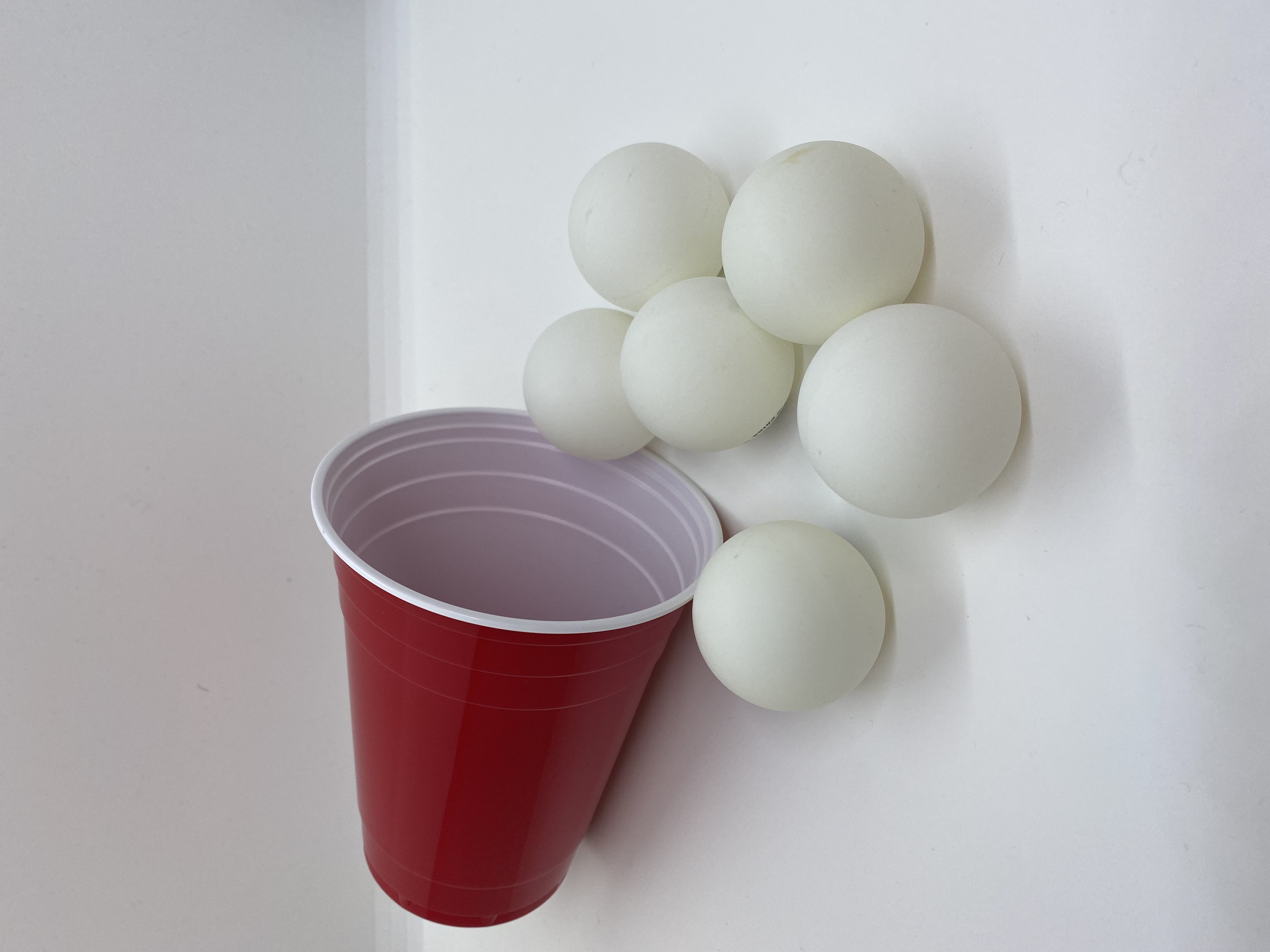 Beer Pong Set